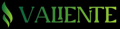 BuzzFeed profile picture for @valiente