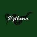 slytherin_hogwarts19