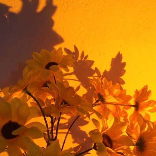 sunflowersugar's avatar