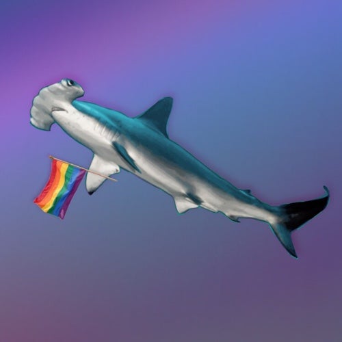 Creative-Shark-17's avatar