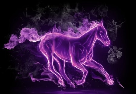 purpleponylover