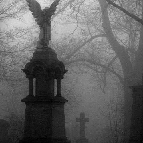 BuzzFeed profile picture for @cemetery