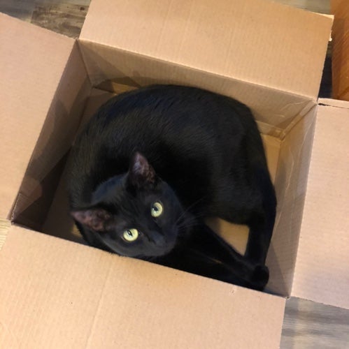 youknow,forcats⭕️ avatar