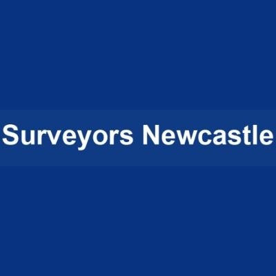 BuzzFeed profile picture for @surveyors