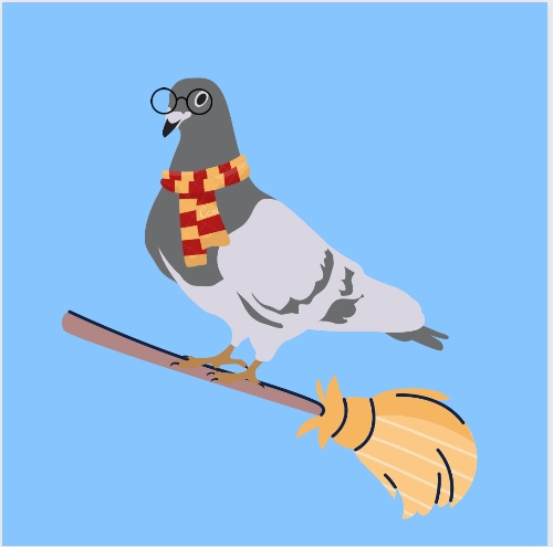 quidditchpigeon