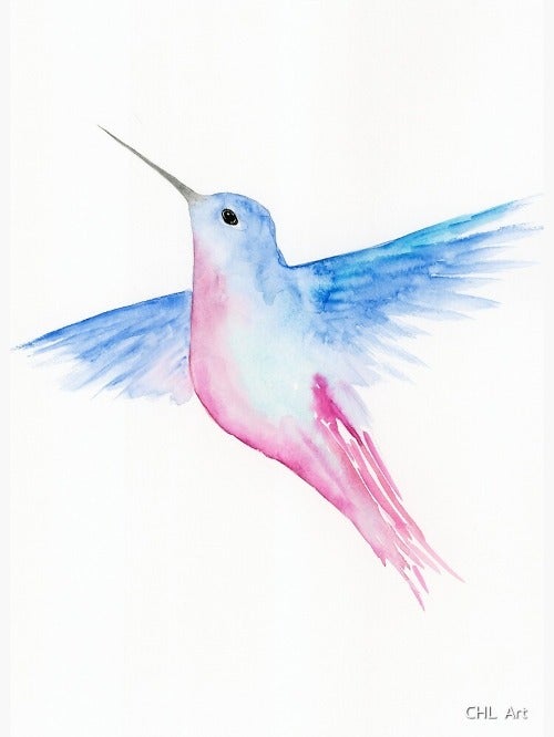 pinkhummingbird's avatar