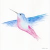pinkhummingbird