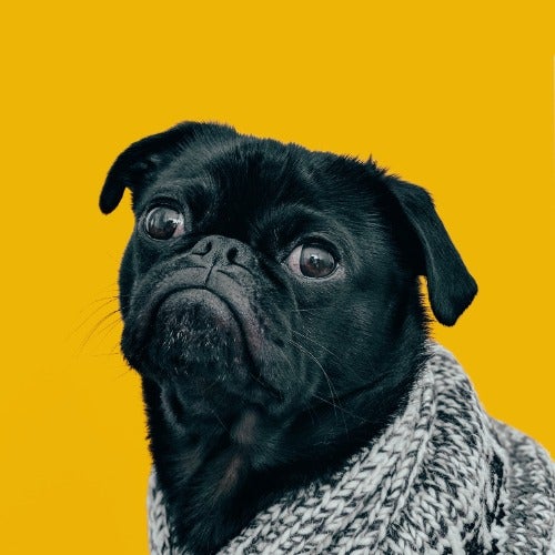 BuzzFeed profile picture for @lifetech