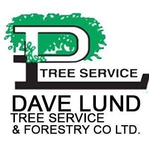 BuzzFeed profile picture for @forestry