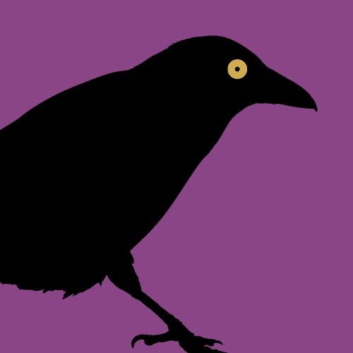The Grim Raven's avatar
