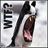 BuzzFeed profile picture for @snipe