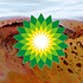 BP's Gulf Coast Oil Spill Spectacular! profile picture
