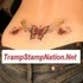 Tramp Stamp Tattoos profile picture