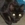 Choco Cat's avatar