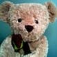 miserybear profile picture
