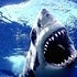 BuzzFeed profile picture for @sharks