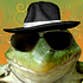 The Frogman profile picture
