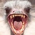 BuzzFeed profile picture for @speaker