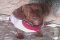 BuzzFeed profile picture for @gus