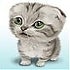 BuzzFeed profile picture for @kenneth