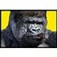 Thee Smoking Gorilla profile picture