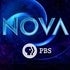 BuzzFeed profile picture for @nova