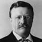 Theodore Roosevelt profile picture