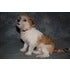 BuzzFeed profile picture for @allegra