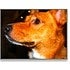 BuzzFeed profile picture for @burke