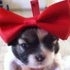 BuzzFeed profile picture for @dora
