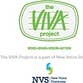 The VIVA Teachers Project profile picture