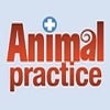 animalpractice