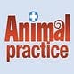 Animal Practice profile picture