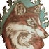 BuzzFeed profile picture for @firefox