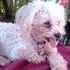 BuzzFeed profile picture for @lynne