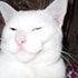 BuzzFeed profile picture for @terri
