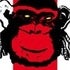 BuzzFeed profile picture for @lar