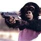 monkeyincognito profile picture