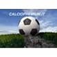 calciopremium profile picture