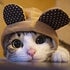 BuzzFeed profile picture for @arizona