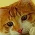 BuzzFeed profile picture for @typo