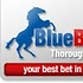 bluebloodthoroughbreds profile picture