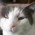 lynnec5's avatar