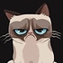 BuzzFeed profile picture for @misled