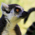 LemurOfLovecraft's avatar