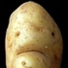 potatopotatopotato