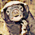 badger's avatar