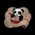 panda Huang's avatar