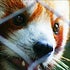 BuzzFeed profile picture for @provocation