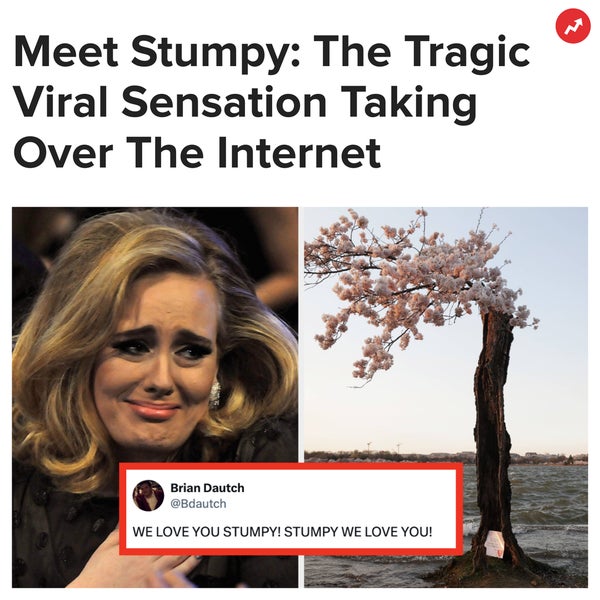BUZZFEED INSTAGRAM LINK IN BIO visual data 6